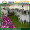 Luxury Durable Aluminium Alloy Clear Span Wedding Party Tent 20 X 75m supplier