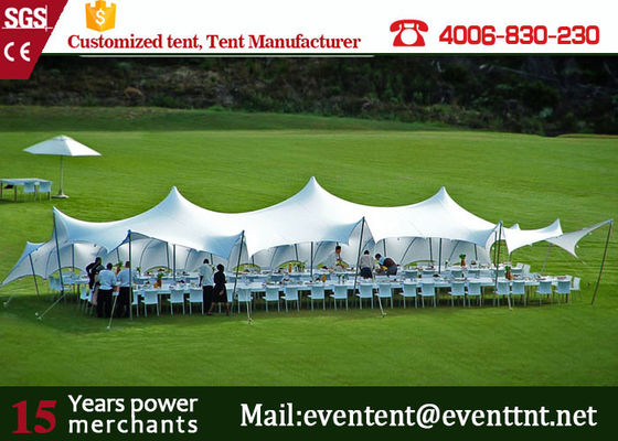 China Custom Freeform Stretch Tent With Aluminum Frame Toughened Glass Door supplier
